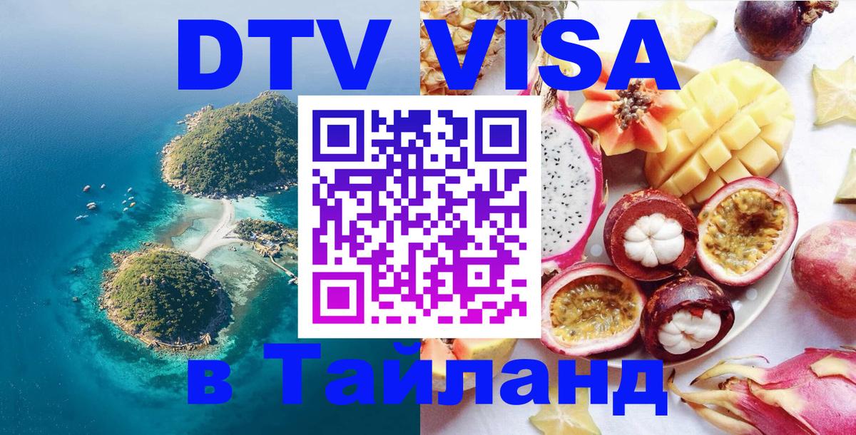 Оформление DTV визы под ключ: стоимость и тарифы, только загранпаспорт - 